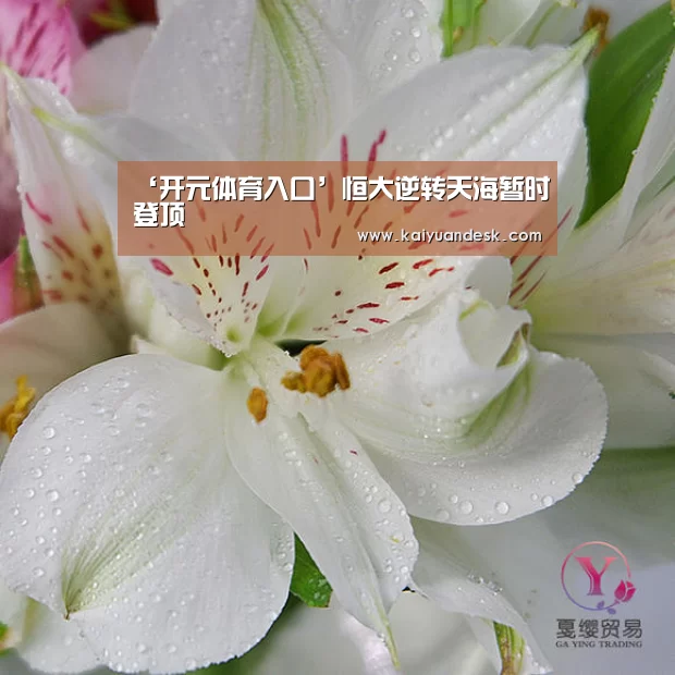 开元体育官网